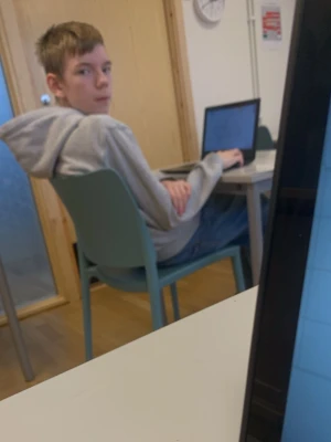 Lv hoodie - Väldigt fin  kommer med kebab 