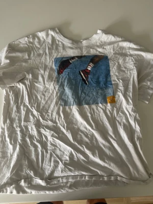 Vit t-shirt med sneakers-tryck - Vit t-shirt med ett färgstarkt tryck av ett par röda sneakers mot blå bakgrund på bröstet. Klassisk passform och rund halsringning. Perfekt för dig som gillar streetwear och sportiga detaljer.