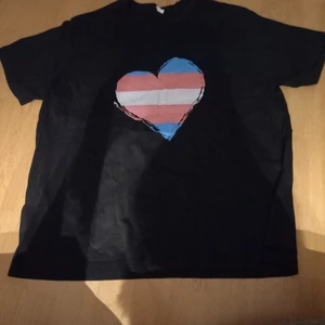 Blandade T-shirts  - Fina T-shirts använda ett antal gånger. Ps katt finns I hemmet 