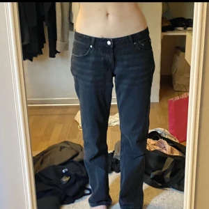 Lågmidjade jeans från weekday - Ett par super snygga straight low rise jeans från weekday som nästan är slut i alla storlekar. Detta paret är i storlek 27/32 och är slutsålda i den storleken sitter fint på mig som är 170 och har storlek S i zara jeans. Orginalpriset är 500kr💓