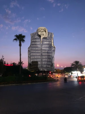 Sail racing väst  - Skitsnygg väst i marinblå färg. Inköpt för 1800kr säljer för 650kr😄 fler frågor svaras privat.