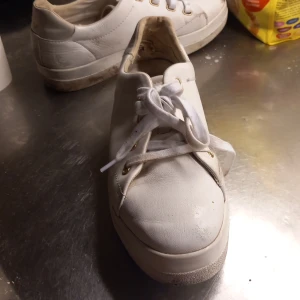 Plick - Det är Gant. Det är storlek 40. Och är till kvinna.