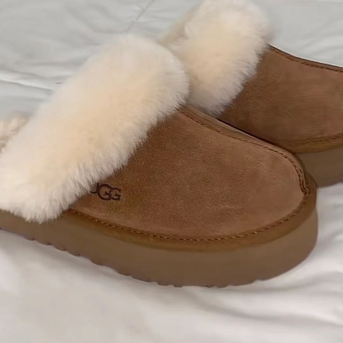 High platform tazz tasman chestnut uggs - 90