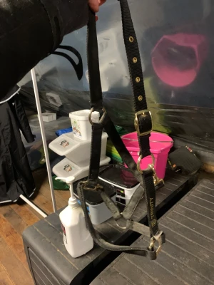 Grimma trinity  - Grimma st full från trinity