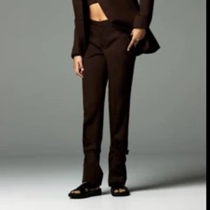 Bruna lågmidjade kostymbyxor  - Bruna kostymbyxor med lågmidja, jätte snygga och långa i benen. Köpta på zara och använda ca 1 gång