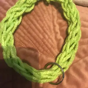 Här är ett fint grönt hund halsband.