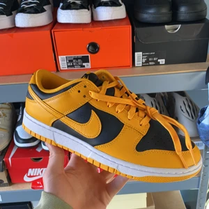 Nike Dunk Goldenrod  - Säljer nu dessa väldigt fina dunksen i storlek 42.5 Eu!! Tveka inte att ställa frågor!