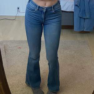 Jätte snygga Dr Denim jeans köpta förra sommarn, använda 1 gång🤩🤩🥂 Säljer pga för många jeans, jag är 171 cm lång och bär ofta storlek 36/38 i jeans. 