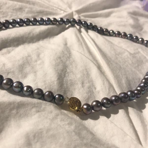 Halsband  - 👍Bra skick,fint halsband och aldrig använt👍