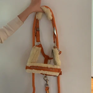 Equstrian Stockholm grimma - Helt ny es grimma i färgen orange, säljer för att jag beställde fel storlek😩 Ich att skicka tillbaka den kostade nästan mer än vad grimman kostade så säljer den för ett lägre pris än vad jag köpte den för här💕