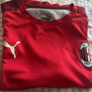 Puma - Den passar berfekt till 13 o 14 åringar.helt ny Milan tröja börjar med priset 300