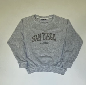 Vintage sweatshirt  - Grå San Diego sweatshirt  En fläck på ärmen (se bild 3) och en mindre fläck på framsidan Skick 7/10✅