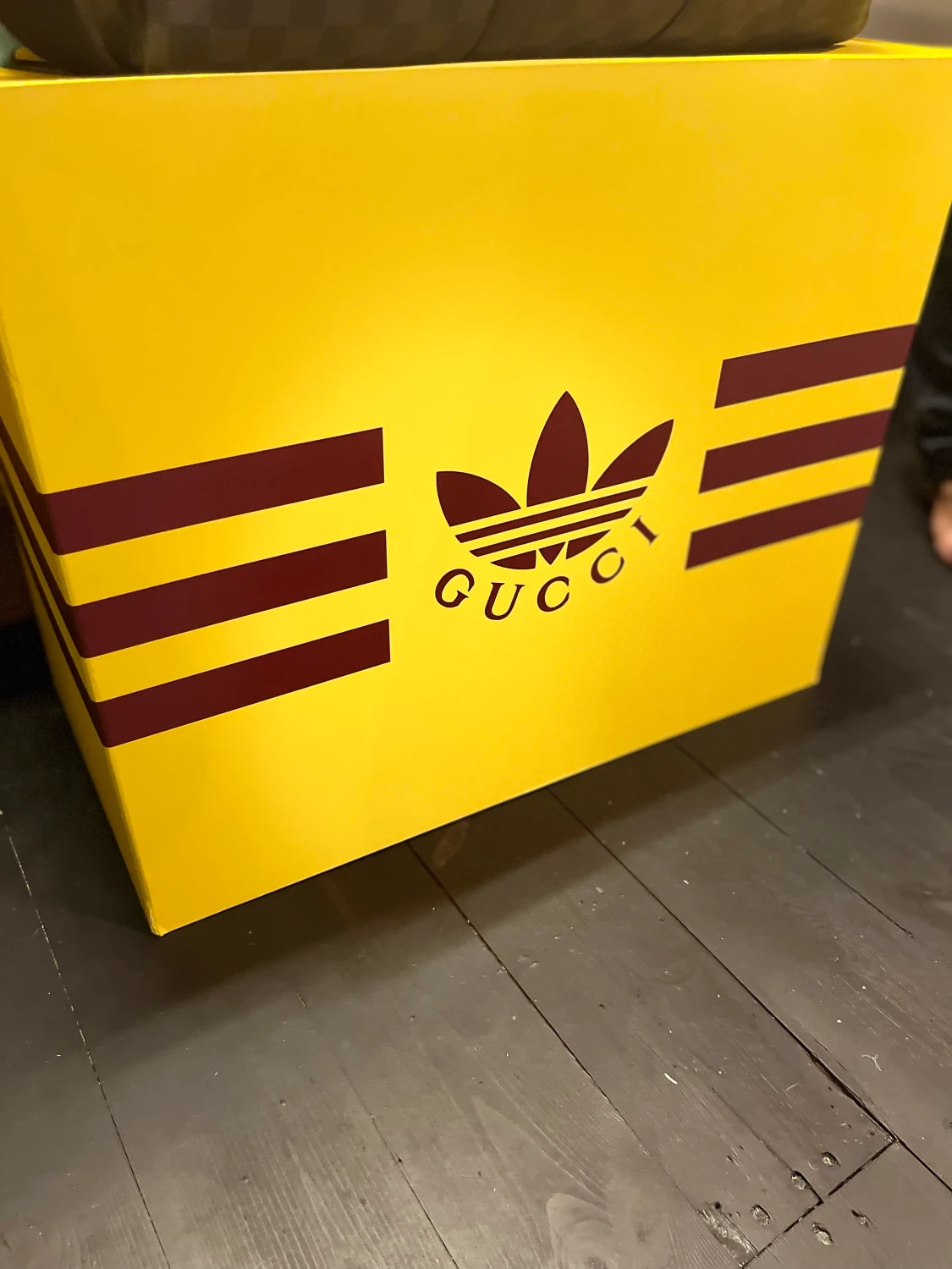 Gucci/adidas