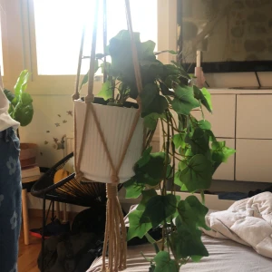 Växt hängare🪴🌱 - Krukan och blomman ingår ej.  jätte fin växt hållare från lagerhouse🌱🪴🌱