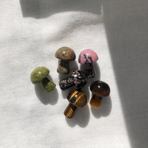 Kristallsvampar⚡️ - Hur söta är inte dessa superfina kristallsvampar?😍💕 kristallerna som finns är rodonit, unakit & tigeröga! 29kr/st, frakt tillkommer på 14kr! (Endast unakit finns i lager just nu)