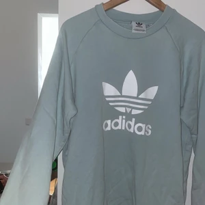 Adidas  - Adidas (turkos) tror jag färgen är.  