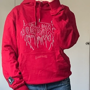 Wasted Paris Hoodie - Hoodie från Wasted Paris med coolt tryck. Bra kvalité som alla deras saker. Nypris va typ 900kr men slutsåld nu ✨Superbra skick✨ står XS på lappen men definitivt större pga oversized. Skulle säga S/M men hör av dig om du vill ha exakta mått eller om du undrar något annat<3 