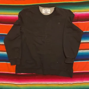 Champion Sweater - CONDITION: Mint