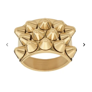 Edblad ring gold  - Säljer min fina Edblad ring i guld därför att jag har gått och blivit en silver person!😀 denna är i ett jätte jätte bra skick och har inga skador alls💗 jag köpte den för 399 kr! Hör av er om ni har några frågor!