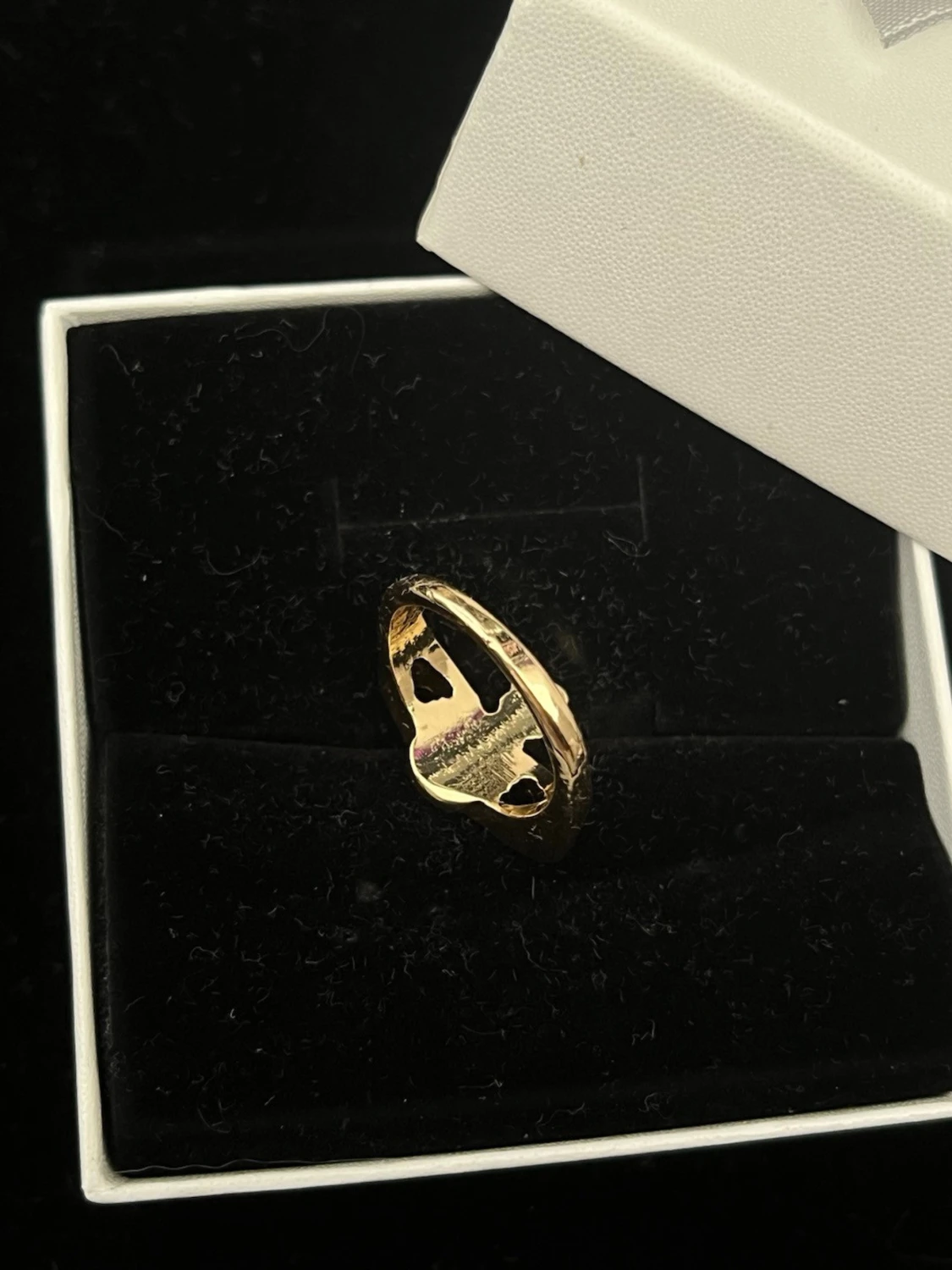 Saturnus ringt i guld och silver  - 3