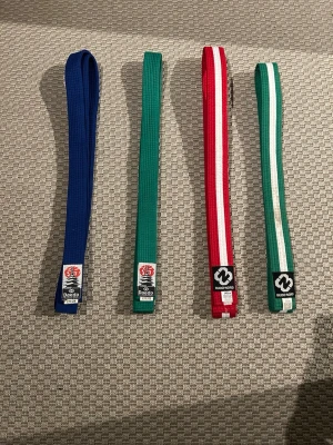 Taekwondo bälten - All package med bälten. De är några bälten för taekwondo men funkar naturligtvis för karate med. Alla FÖUTOM den grön-vita är 240 cm lång annars är den grön-vita 220 cm. 4 för 200 och en för 40