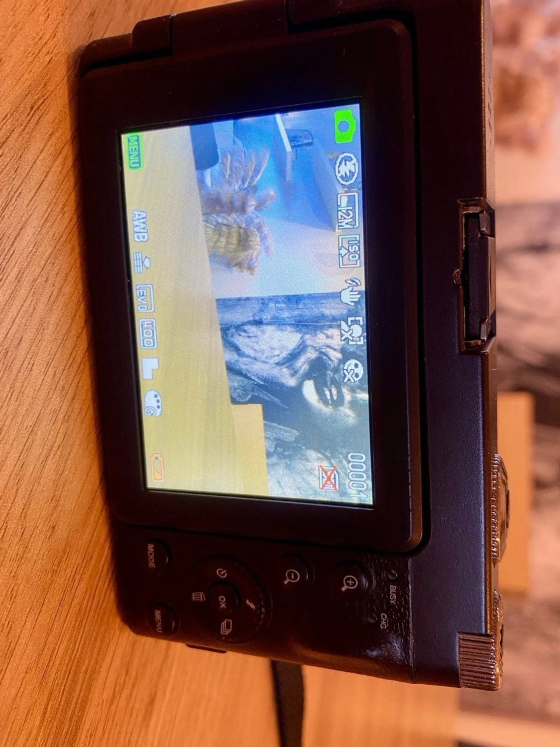  digitalkamera med flipskärm - 1