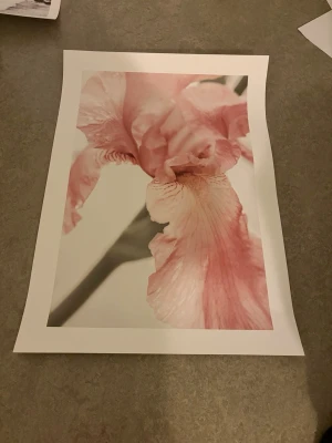 Ny poster, 50x70 - Superfin poster från desenio, 50x70! Aldrig använd. Köpte inför att jag skulle flytta och tyvärr passade det inte in i lägenheten 🫶🏼