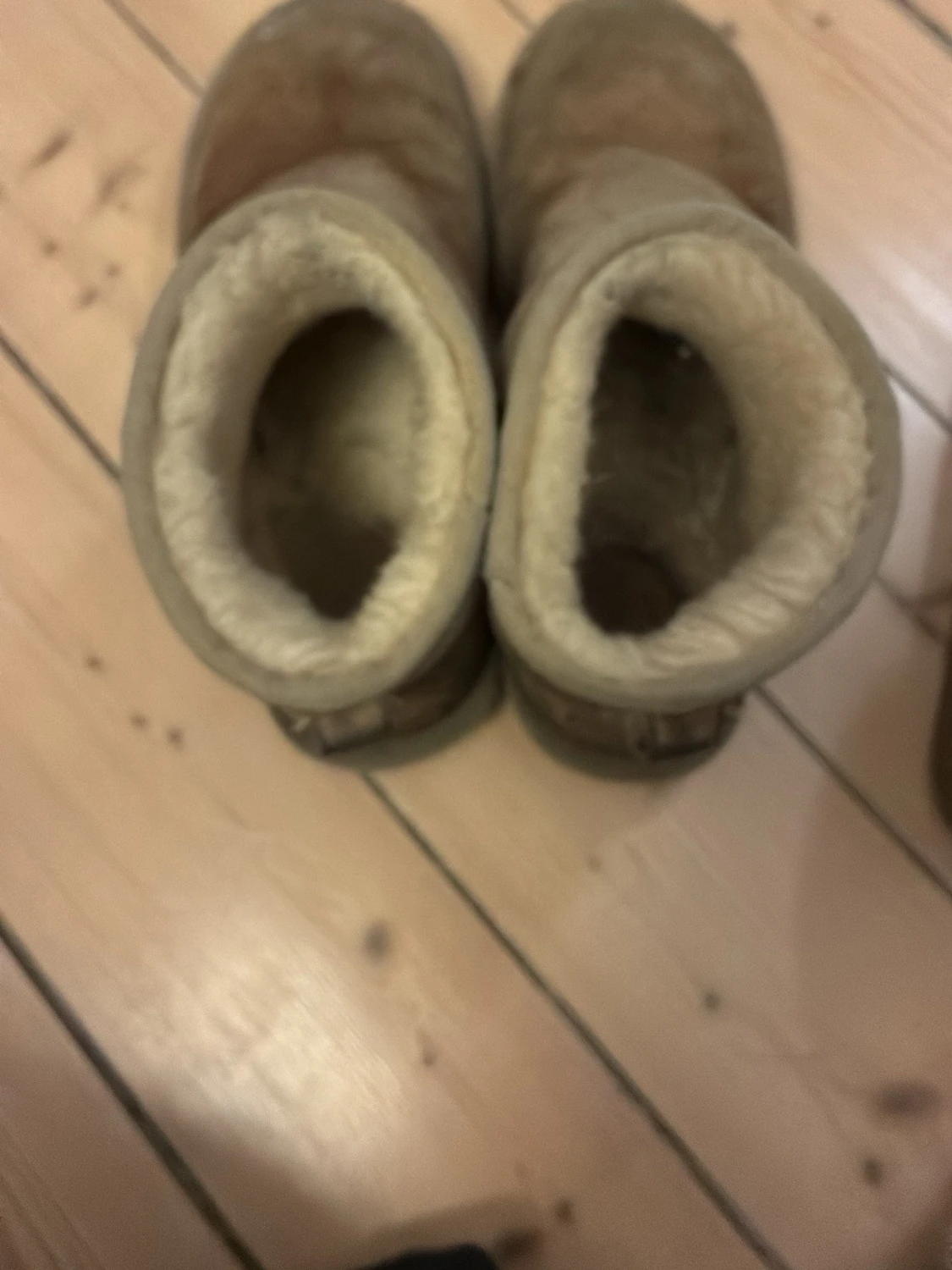 Beige fårskinnstofflor från UGG - 2