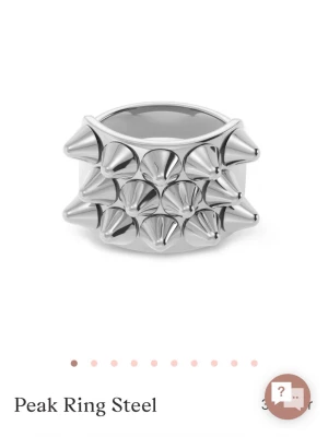 Silvrig Edblad ring med nitar - Säljer den trendig Edblad ringen eftersom att den är för liten. Pris kan diskuteras och den är inprincip nyakick !!❣️