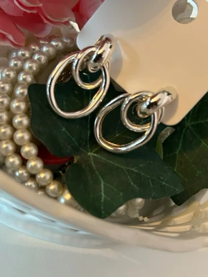 Silvriga chunky örhängen i dubbelring - Säljer ett par silvriga örhängen med chunky dubbelring-design. Örhängena har en modern och stilren look med två sammanlänkade ringar i metall. Perfekta för dig som gillar trendiga accessoarer med lite edge.