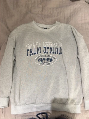 Grå sweatshirt Palm Springs SHEIN - Ljusgrå sweatshirt från SHEIN med trycket 'PALM SPRINGS Coachella Valley EST 1986' i blått och vitt framtill. Tröjan har rund hals, ribbade muddar vid ärmslut och nederkant samt en relaxed fit. 