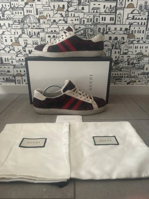 Gucci Ace skor - Gucci skor väldigt sällsynta du får med allt. Uk 10 men sitter som 44. Mörk blå röda snygg unika och garanterat att få ögon att vända