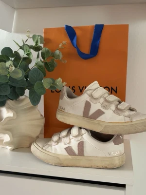 Veja sneakers - vita sneakers ifrån veja. välanvända men går att tvätta och är super snygga på!