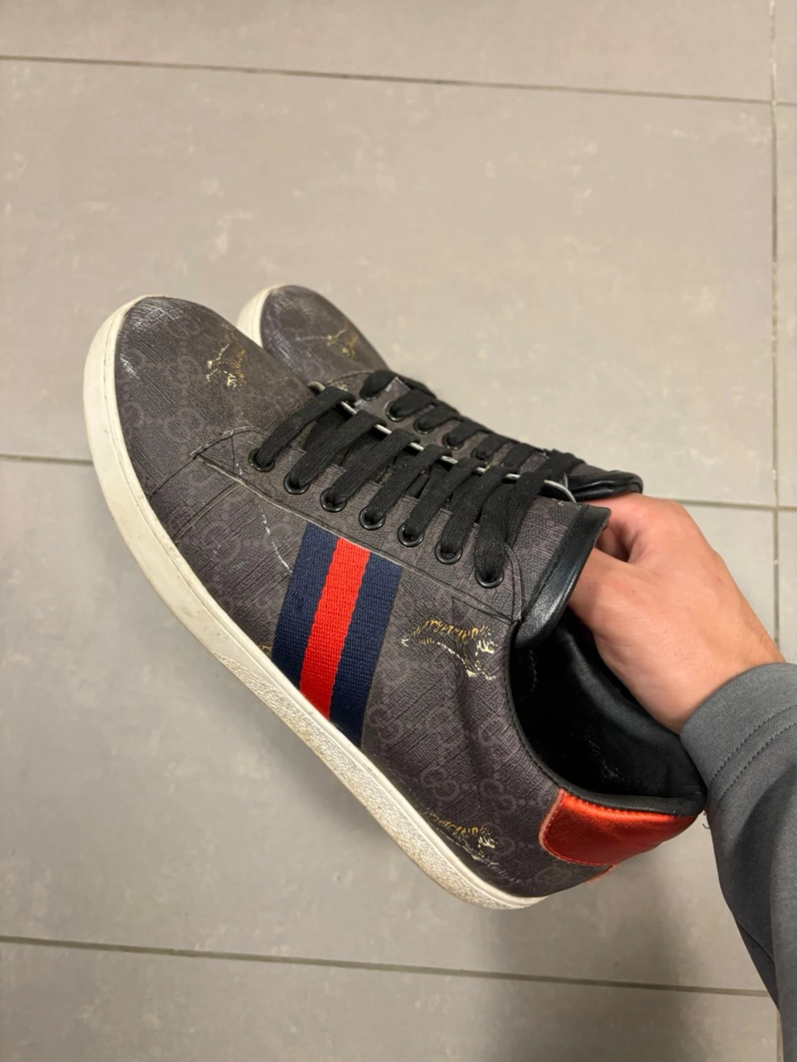 Gucci ace tiger 