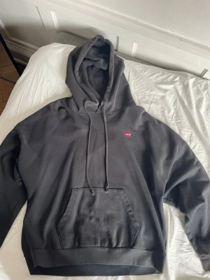 Mörkgrå baggy hoodie från Levi's - Snygg mörkgrå hoodie från Levi's med klassisk känguruficka och liten röd Levi's-logga på bröstet. Hoodien har dragsko i huvan och ribbade muddar vid ärmslut och nederkant. Perfekt för en chill och avslappnad stil.