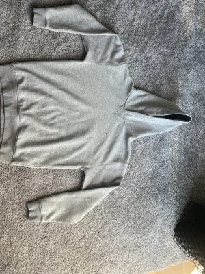 Grå hoodie från Tommy Hilfiger ,164 - Snygg grå hoodie från Tommy Hilfiger med ett liten märkte vid bröstet,helt ny aldrig använt så det är topp skick,inga lappar på tröjan 