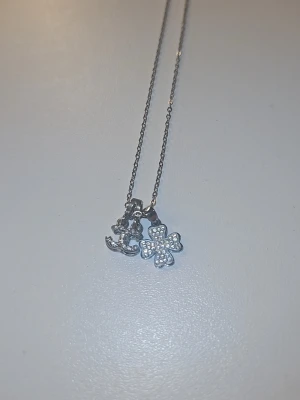 Halsband  - Halsband med 2 st charms och kedjan är silver 