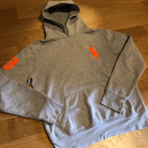 Grå hoodie från Polo Ralph Lauren - Kollar om någon är intresserad av denna tröja. Litet hål på högerarmen men inget som märks av.