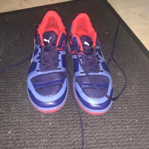 Blåröda Puma inneskor gympaskor - Aldrig använda såvitt jag vet, strl 39            Uppsala (kan såklart frakta)
