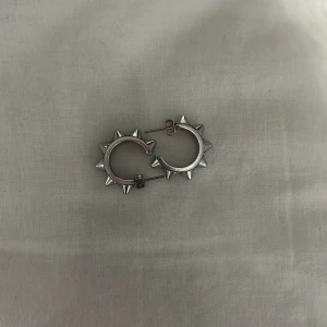 Edblad stål örhängen med spikar en rad - Stålörhängen från edblad