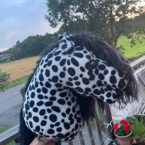 Fin käpphäst  - Käpphäst från företag i fint skick! Ny pris ca 800kr! Finns att hämta i Onsala, Kungsbacka eller skickas mot fraktkostnad💕
