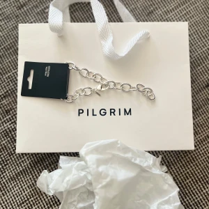 Chunky silverarmband från Pilgrim - Stilrent chunky armband från Pilgrim i silverfärg med stora ovala länkar och några länkar dekorerade med små gnistrande stenar. Snyggt och trendigt smycke som lyfter vilken outfit som helst. Nypris 500kr