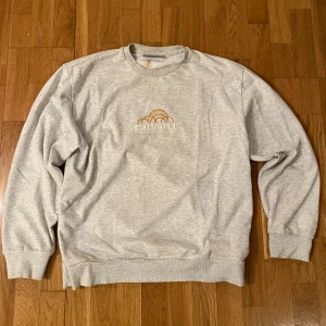 Carhartt WIP Sweatshirt - Använd 2 gånger