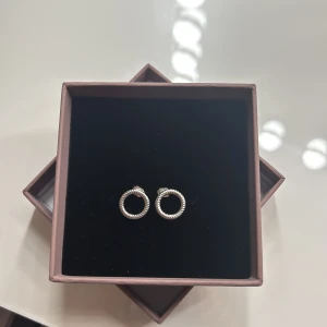 Silvriga cirkelörhängen i tvinnad design från Edblad  - 12 mm i diameter, märke Edblad. Små gulliga örhängen i silver, använts ett fåtal gånger, Nypris 250 kr. Kan gå ner i pris! Orginal ask tillkommer