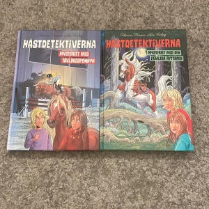 Hästböcker - Säljer dessa 2 hästdetektiverna böckerna. Har läst dom och kommer inte läsa om dom för har inget intresse för hästar alls längre. Super bra skick. Säljer båda för 80kr.
