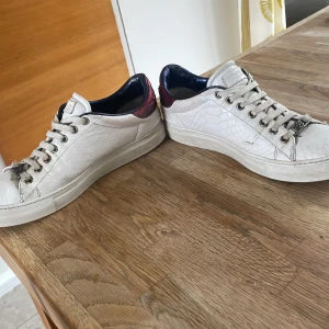 Roberto Cavalli skor - Svinsnygga å sällsynta Roberto Cavalli skor som ligger på 2999-3999 nypris. Sett till användning så är de i bra skick då inga av defekterna är hål eller andra slitningar som påverkar användningen. Däremot har skorna en del yttre slitningar som är tydliga att se på bilderna. Det är just därför jag säljer så billigt så vill man ha ett par sjukt snygga och lyxiga skor till en billig peng har ni hittat rätt. Passar storlek 41/42. Endast goda omdömen så ni kan vara lugna om en god affär!🙏🏽