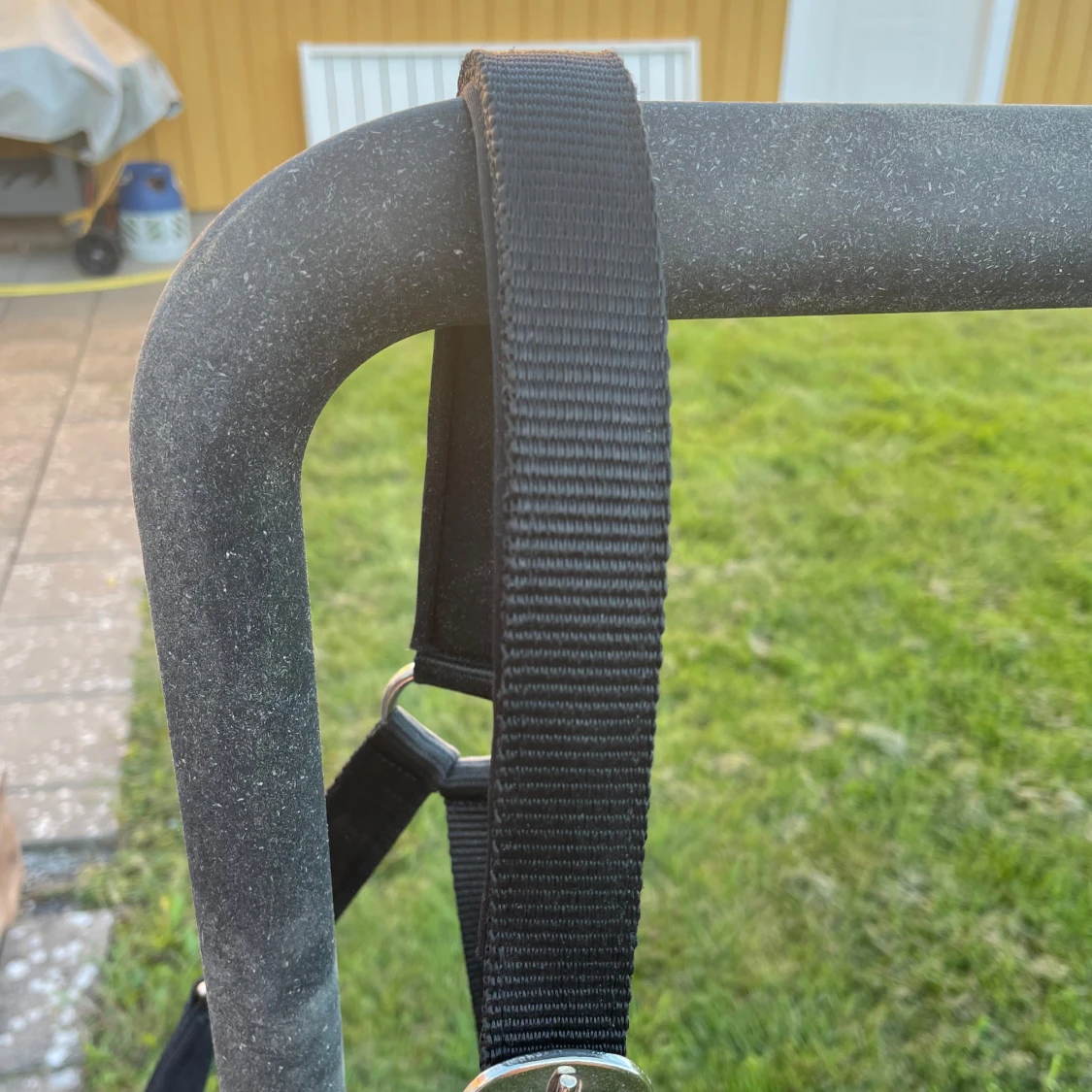 Svart grimma från Fairfield COB - 4