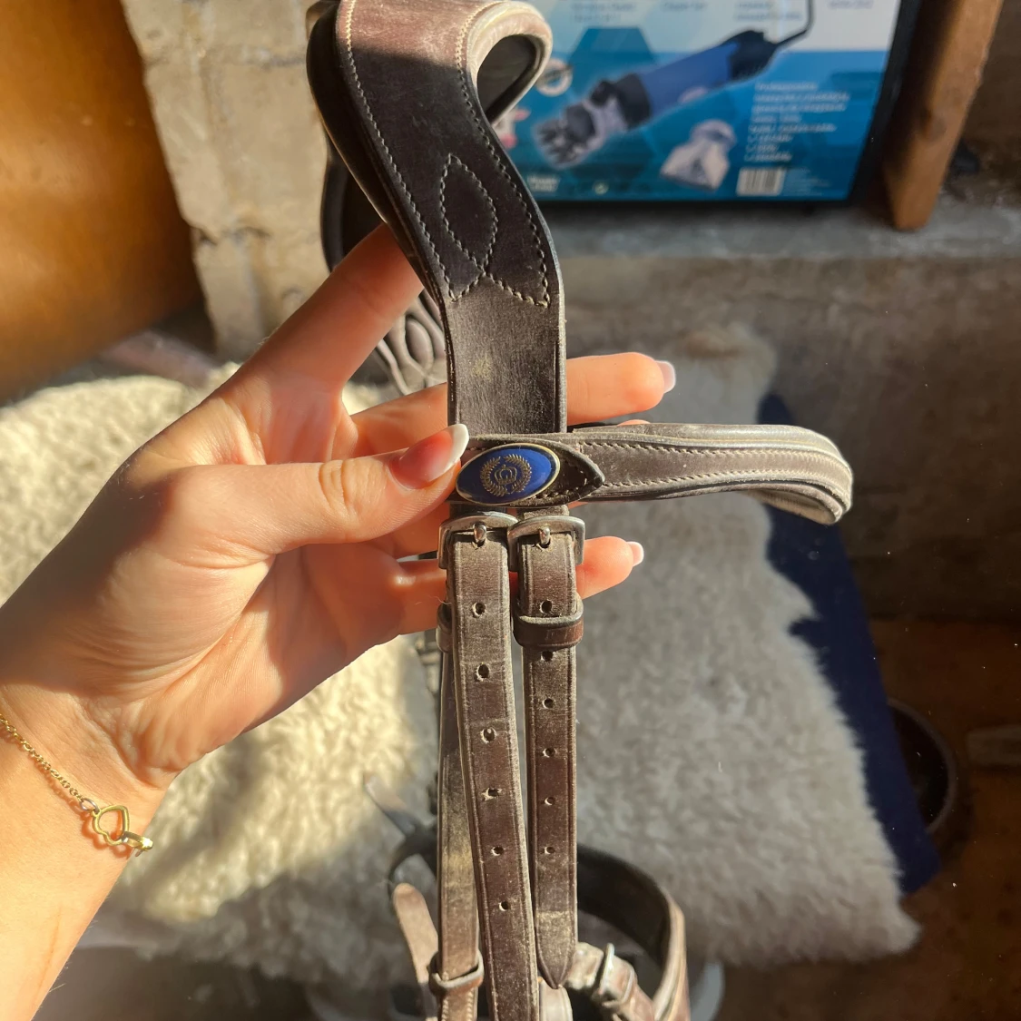 Brunt träns från PS of Sweden - 2