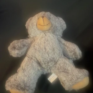 Grå nallebjörn från Liseberg  - Mysig och mjuk nallebjörn i grått från Liseberg . Björnen har ljusbrun nos och tassar, broderad mun och svart nos. Perfekt som present eller mysig kompis att krama. Klassisk design med långa armar och ben. Och är jätte gammal aldrig använt 