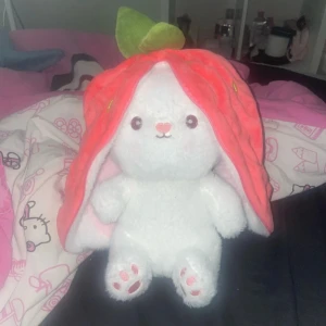 Jordgubbkanin - Dragkedjan på den har gått sönder så den går inte att stänga